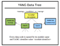 Yang-data-tree.png